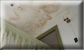 Water Stains Mold Ceiling Walls Mould Testing Remove Remediate