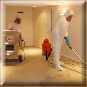 Water Intrusion, Mold Remediation, Mold Removal, Mold Testing, Mold Consultant